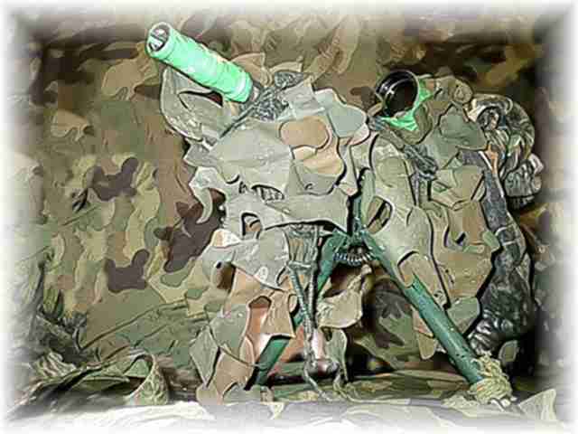 Aug on Bipod