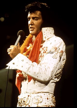 elvisbig.jpg (31256 bytes)