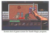 Screen shot of Xanth Magic game screen.
