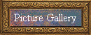 Picture Gallery