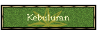 Kebuluran