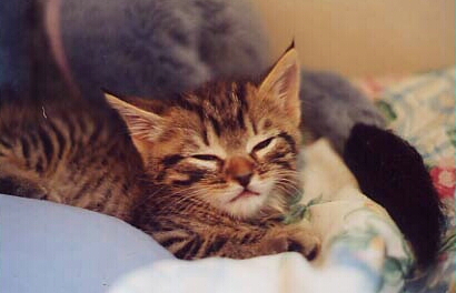 sleepyface