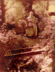 annie at rest