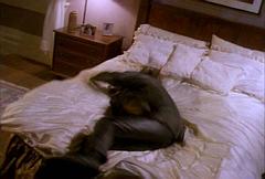the bed