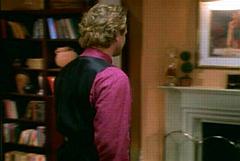 the bookcase to the left of the fireplace