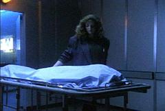 the cold storage room