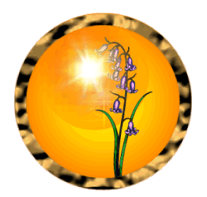 Circular, deep-gold, metallic, textured frame
surrounds an image of a green-leafed, violet-purple
wood hyacinth centered against a background of
amber/sunset yellows and oranges, and a sun of
blazing white light. The background almost looks
like a polished amber gem. The uppermost blossoms
of the hyacinth hang in front of the sun and are
illuminated with a soft yellow light as though
kissed by the sun (i.e. the Apollo).