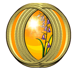 Same as above image except for the surrounding
frame: three metallic, golden rings from the left
and three from the right interlock/interweave to
form a center space. The amber background of the
image shows through crescent-shaped spaces to either
side of the central space through which shows the
blazing sun and wood hyacinth flower.