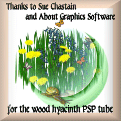 A thank you linkware plaque I made for Sue Chastain,
at about.com, to thank her for the wood hyacinth PSP tube.
Plaque has an apricot-beige border and an off-white
background. The Paint Shop Pro, tube-created picture
consists of a circular area on the background made from
tubes of grass blades, butterflies, dandelion blossoms,
two garden snails, and Sue's blue-flowered wood hyacinths.
Reminds me of the back yard of a rural house I lived in.
The font used in the thank you message is Menuetto.
PS. Wood hyacinths naturalize extremely well; they will
pop up all over your lawn April-time if you let them
--it's quite lovely to see. They also come in pink and
white,