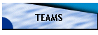 TEAMS