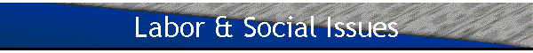 Labor & Social Issues