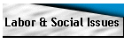 Labor & Social Issues