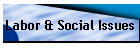 Labor & Social Issues