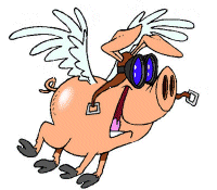 Porco voador
