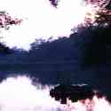 Sunset at the house