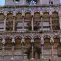 Siena