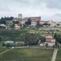 Typical Tuscan countryside shot