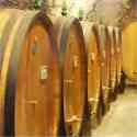 Full wine barrels