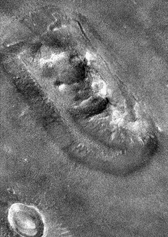 mjcFace.gif (20539 bytes)