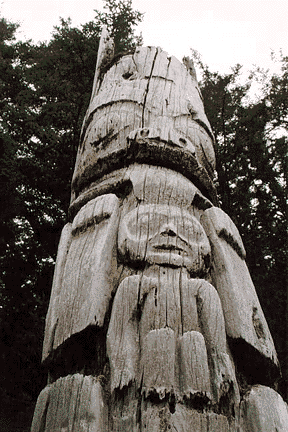nina2430.gif (62638 bytes)