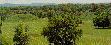 roundfox.gif (52976 bytes)