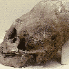 s_skul2.gif (4510 bytes)