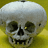 s_skul3.gif (3715 bytes)