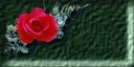 Gothique Rose Online Mall