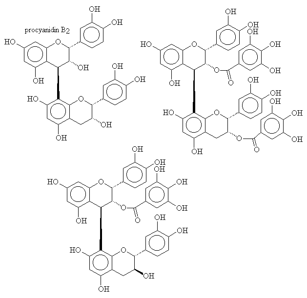 procyanidins