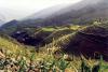 Those famous rice terrace...