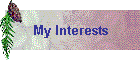 My Interests