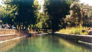 Alte