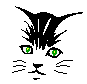 cat clipart