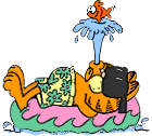 cat clipart