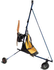 Trike Delta