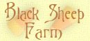 visit Black Sheep Farm