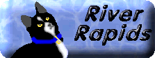 River Rapids Cyber Cattery