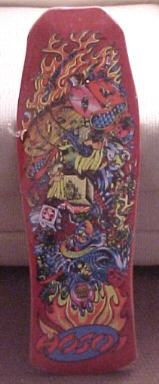 HOSOI HAMMERHEAD COLLAGE