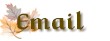 Mail me in Dutch or English