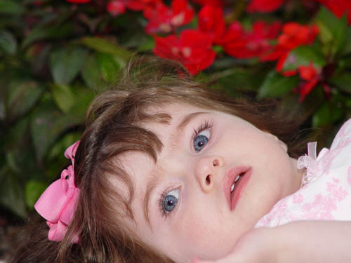 DSC05555