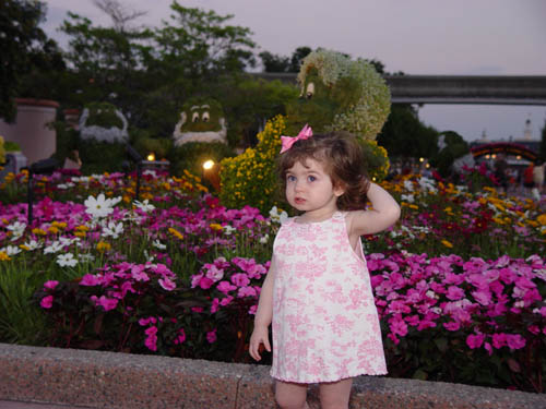 DSC05559