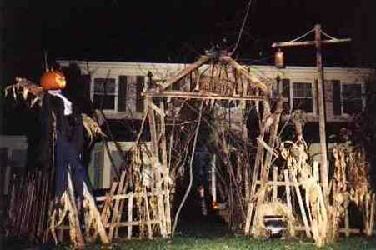 Matt's haunt