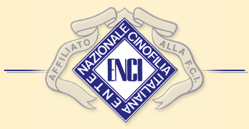 enci.gif (22668 bytes)