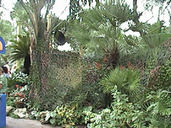 blocking off a path
