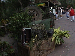 back of Jeep