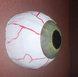 I am an eyeball