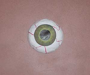 The iris and the veins are painted