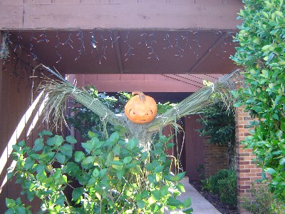 Pumpkin Scarecrow
