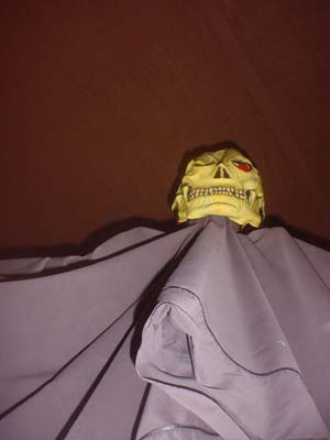 Looking up at Skeleton