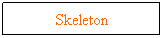 Text Box: Skeleton
